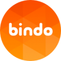 Bindo Labs Limited