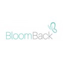 Bloom Back Pte Ltd