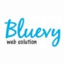 Bluevy Web Solution