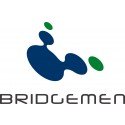 Bridgmen Holdings