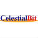 Celestial Bit