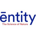 Entity Health Limited