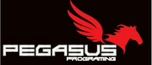 Pegasus Programing Sdn Bhd