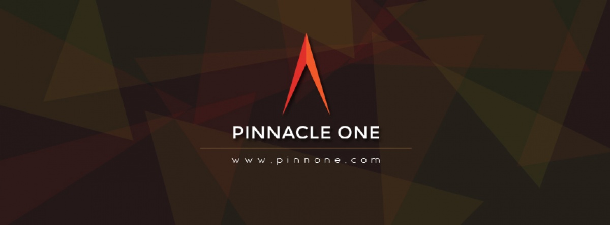Pinnacle One Consultancy