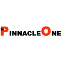 Pinnacle One Consultancy