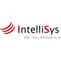 PT IntelliSys