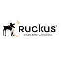 Ruckus Wireless