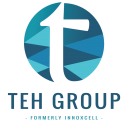 The Teh Group
