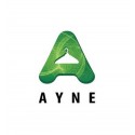 Ayne Pte Ltd