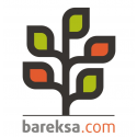 Bareksa