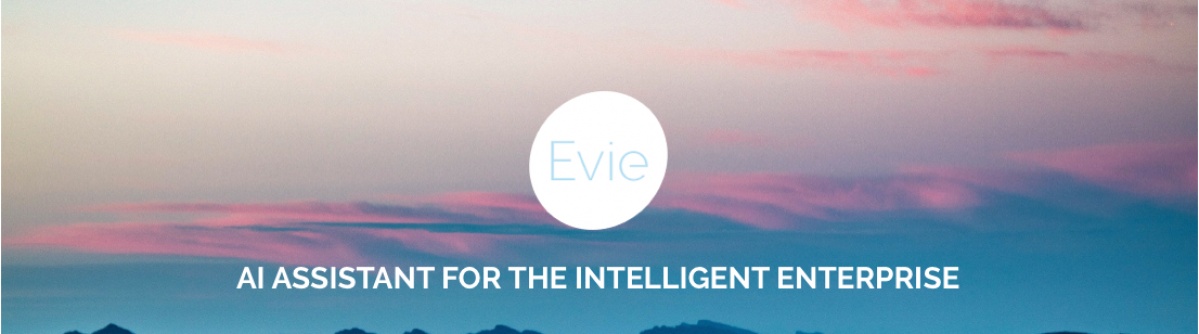 Evie.ai