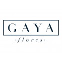 GAYA Flores