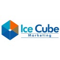 Ice Cube Marketing