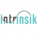 Intrinsik Technologies Sdn Bhd