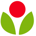 Lazoi Lifecare pvt ltd