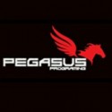 Pegasus Programing Sdn Bhd
