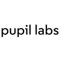 Pupil Labs