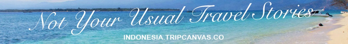 TripCanvas