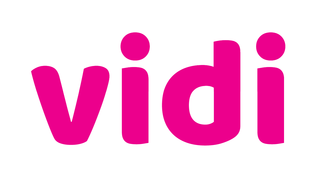 Vidi